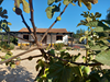 huisjetehuur Portugal Alentejo, Odemira Casa nova da Cruz