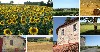 huisjetehuur Frankrijk Charente Brossac