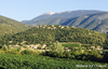 huisjetehuur Het Aarts Paradijs Drôme Provençale mollans sur Ouveze